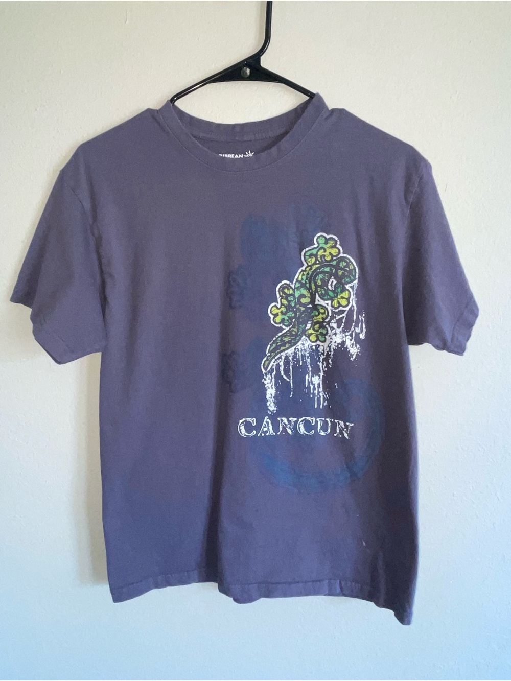 Cancun Mexico Gecko Graphic Tee Small